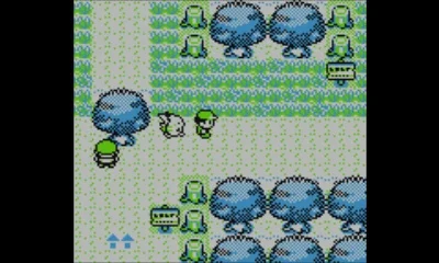 Pokémon Red, Blue, Yellow gameplay screenshot 3