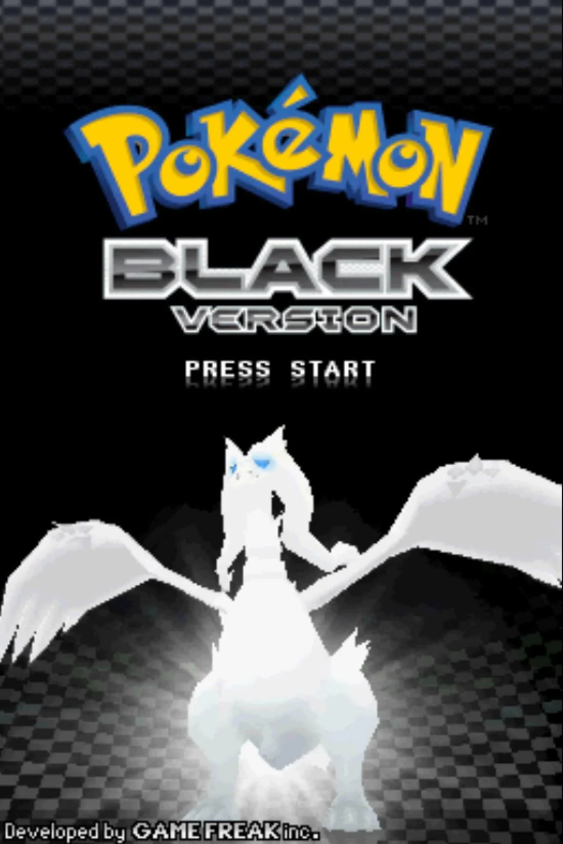 Pokémon Black, White gameplay screenshot 1