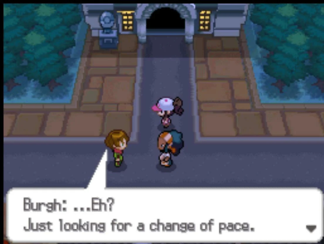 Pokémon Black, White gameplay screenshot 3