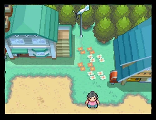 Pokemon HeartGold & SoulSilver gameplay screenshot 0