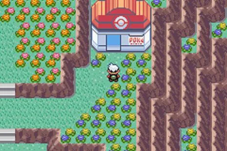 Pokemon Emerald gameplay screenshot 2