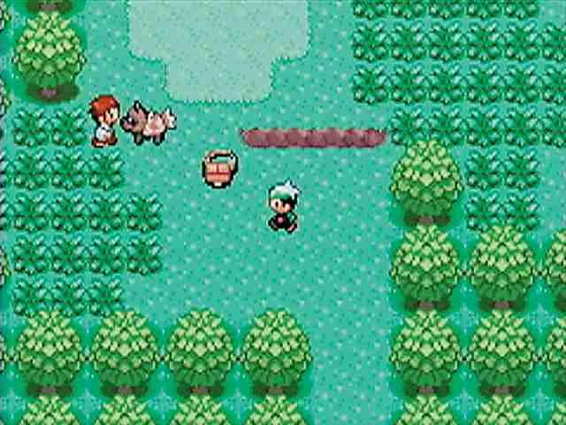 Pokémon Ruby, Sapphire, Emerald gameplay screenshot 3