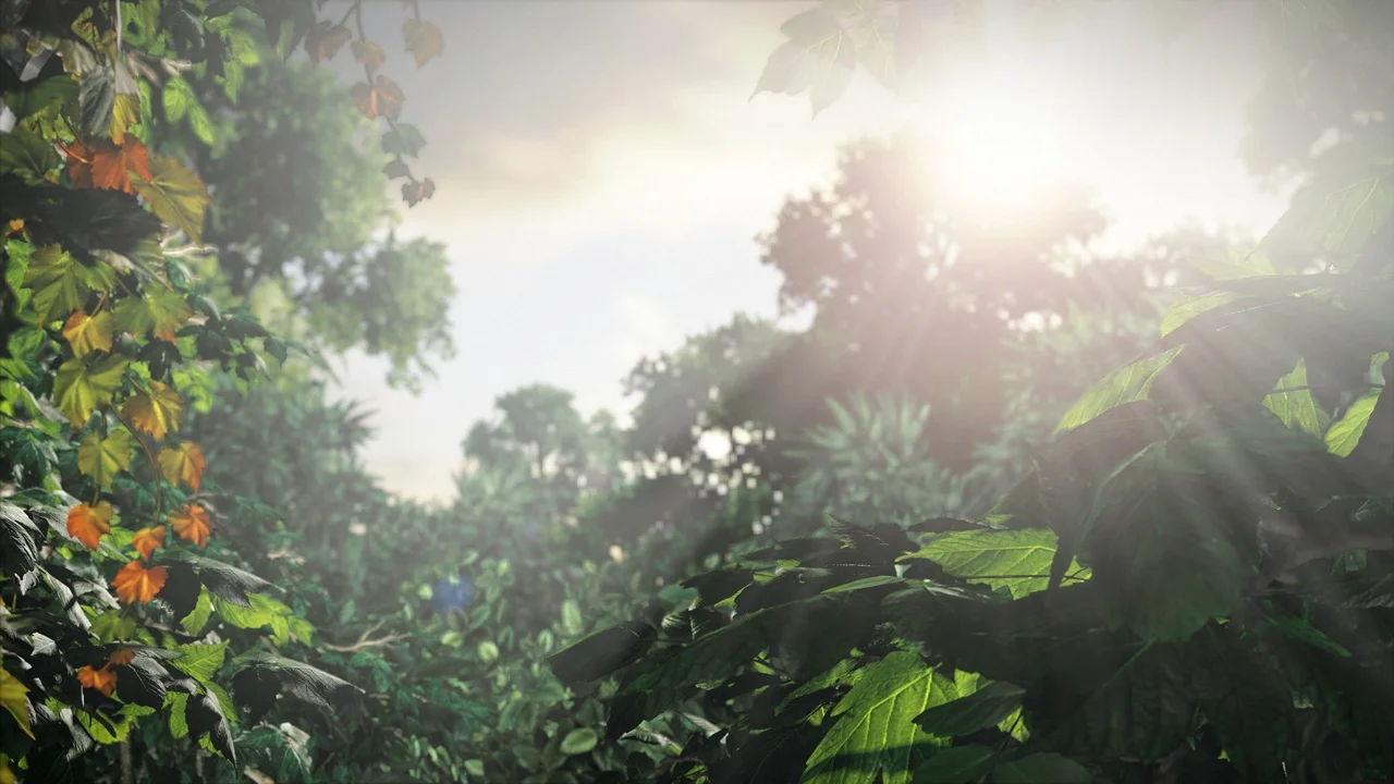 The Last of Us gameplay screenshot 1