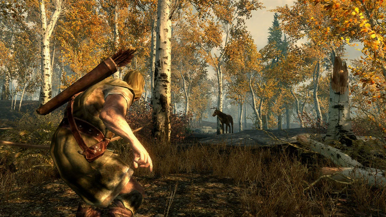 The Elder Scrolls V: Skyrim gameplay screenshot 4