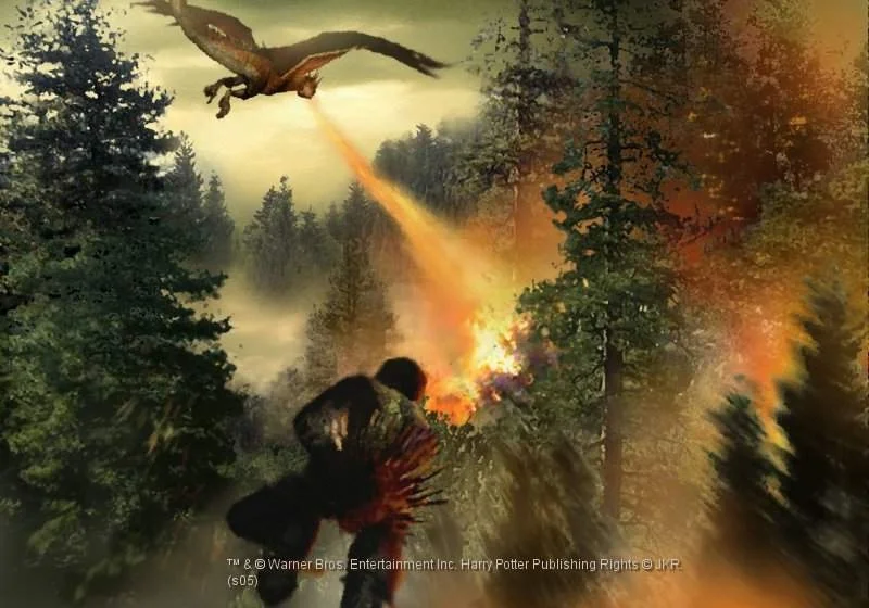 Harry Potter and the Goblet of Fire gameplay screenshot 5