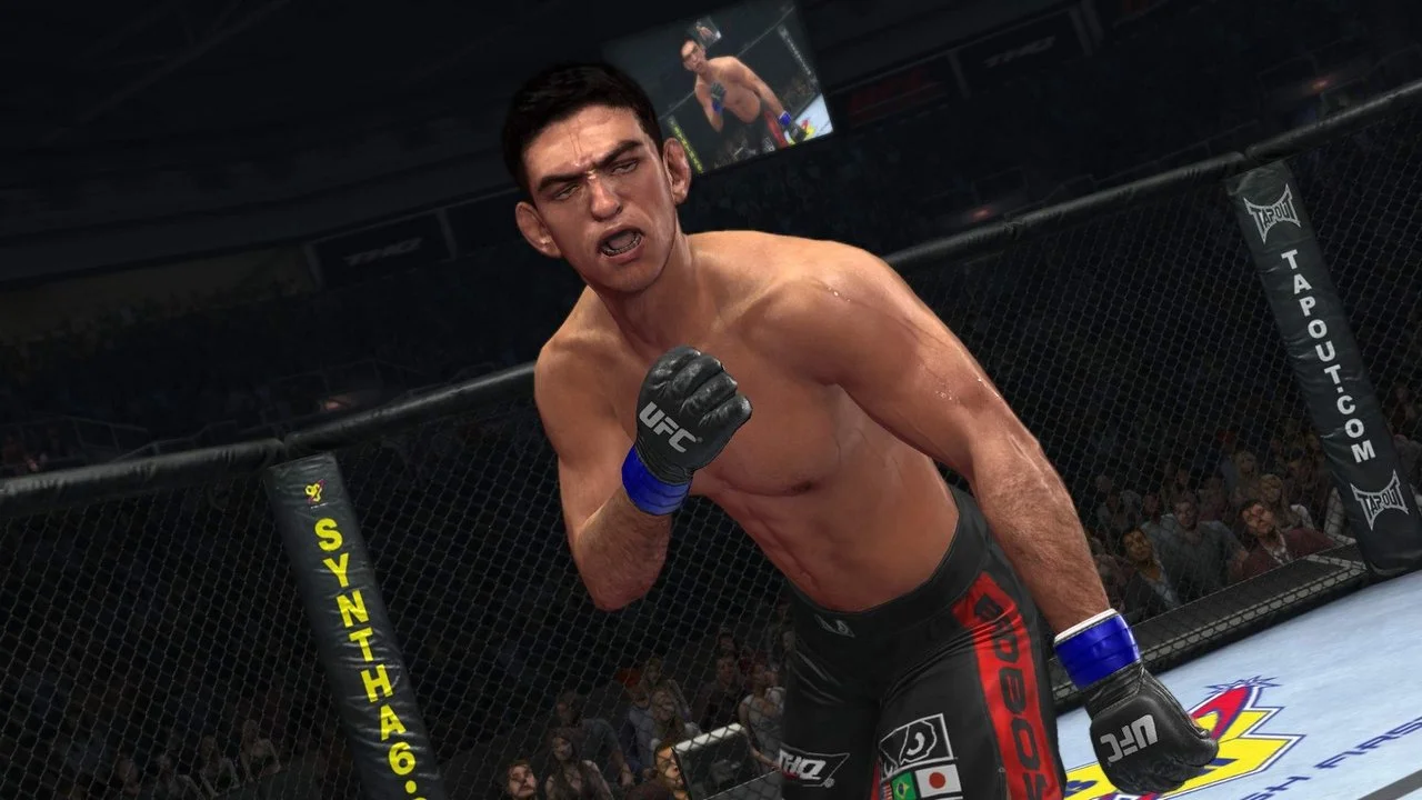 UFC Undisputed 2010 gameplay screenshot 0