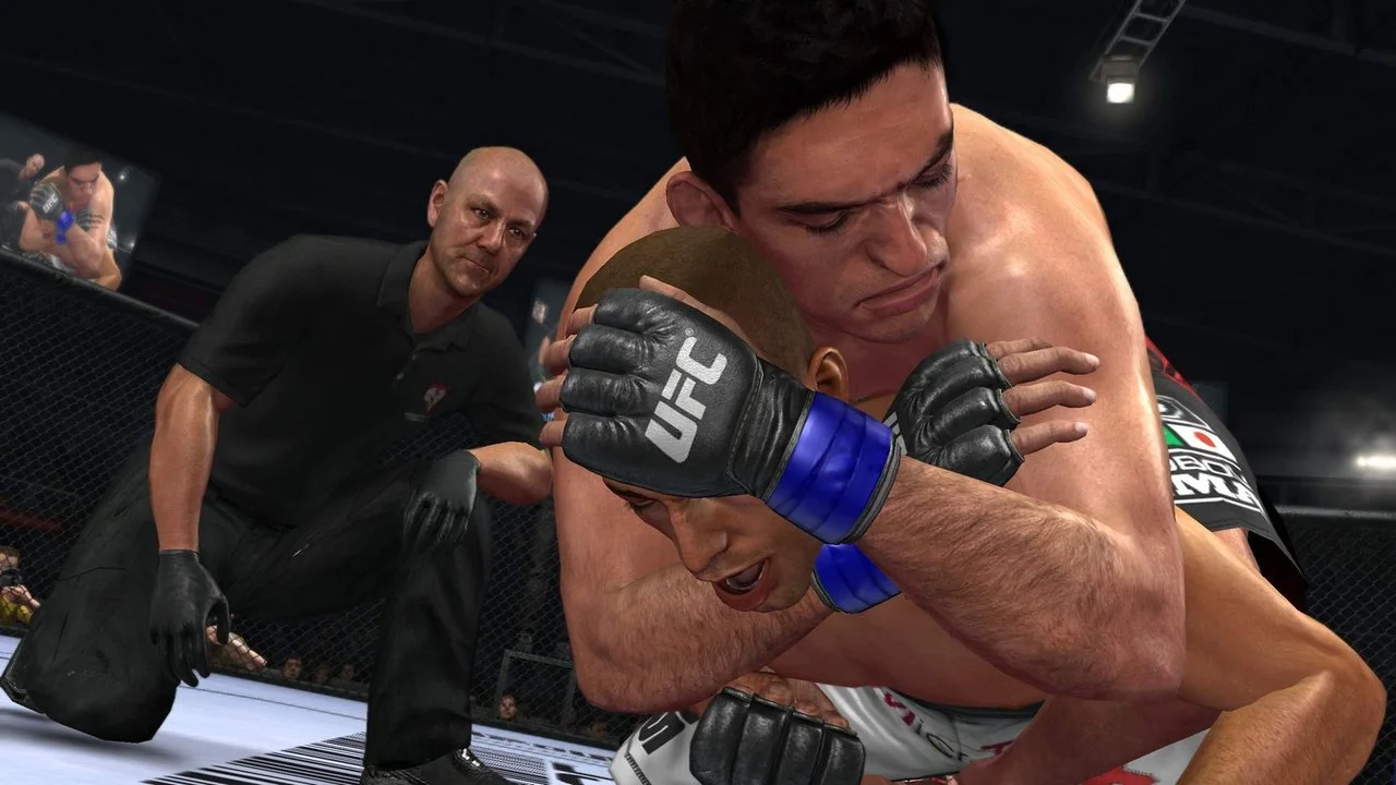 UFC Undisputed 2010 gameplay screenshot 3